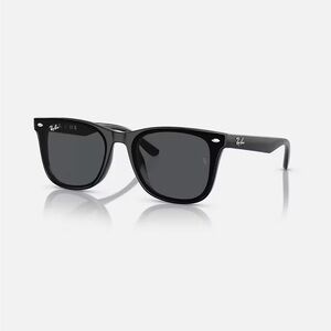 Ray-Ban Classic Black Eyewear RB4420